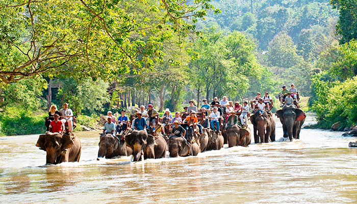 湄沙大象训练学校.jpg 湄沙大象训练学校.jpg